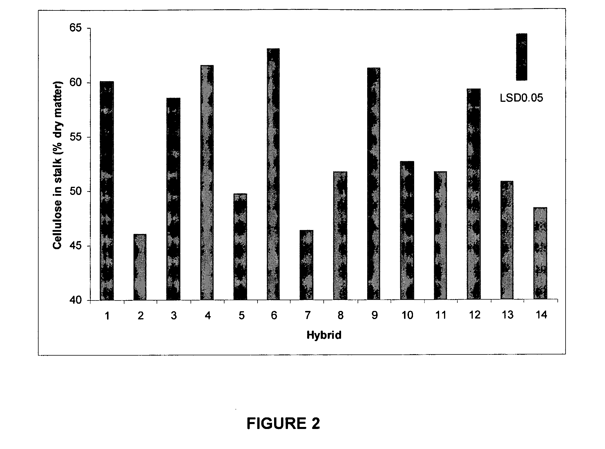 Secondary Wall Forming Genes From Maize and Uses Thereof