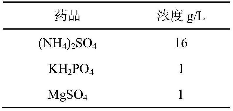 Construction and application of threonine dehydratase mutant