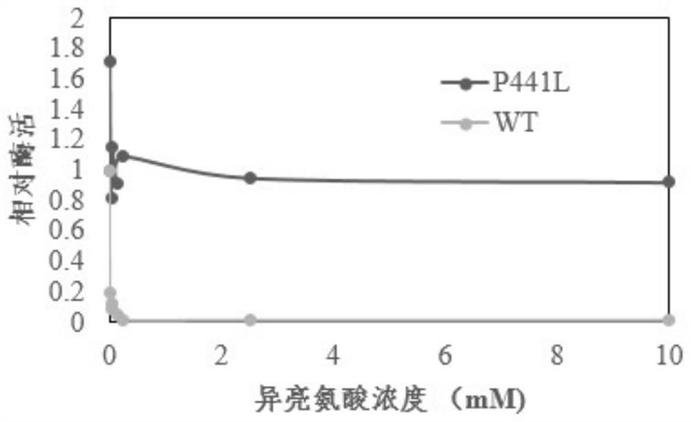 Construction and application of threonine dehydratase mutant