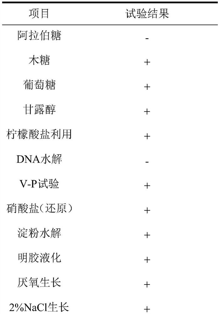 A kind of Bacillus cereus having the ability to degrade monomethylamine and its application