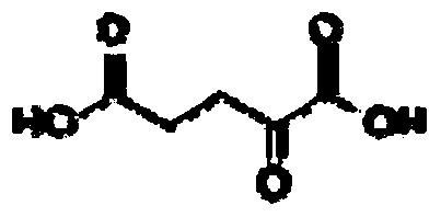 Use of alpha-ketoglutaric acid