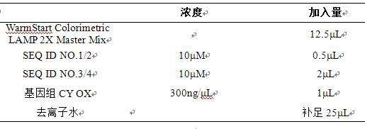 Detection method for O antigen molecular typing of citrobacter O4 and O12 serotype