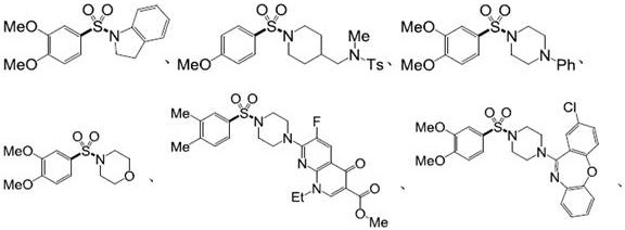 A kind of synthetic method of sulfonamide compound