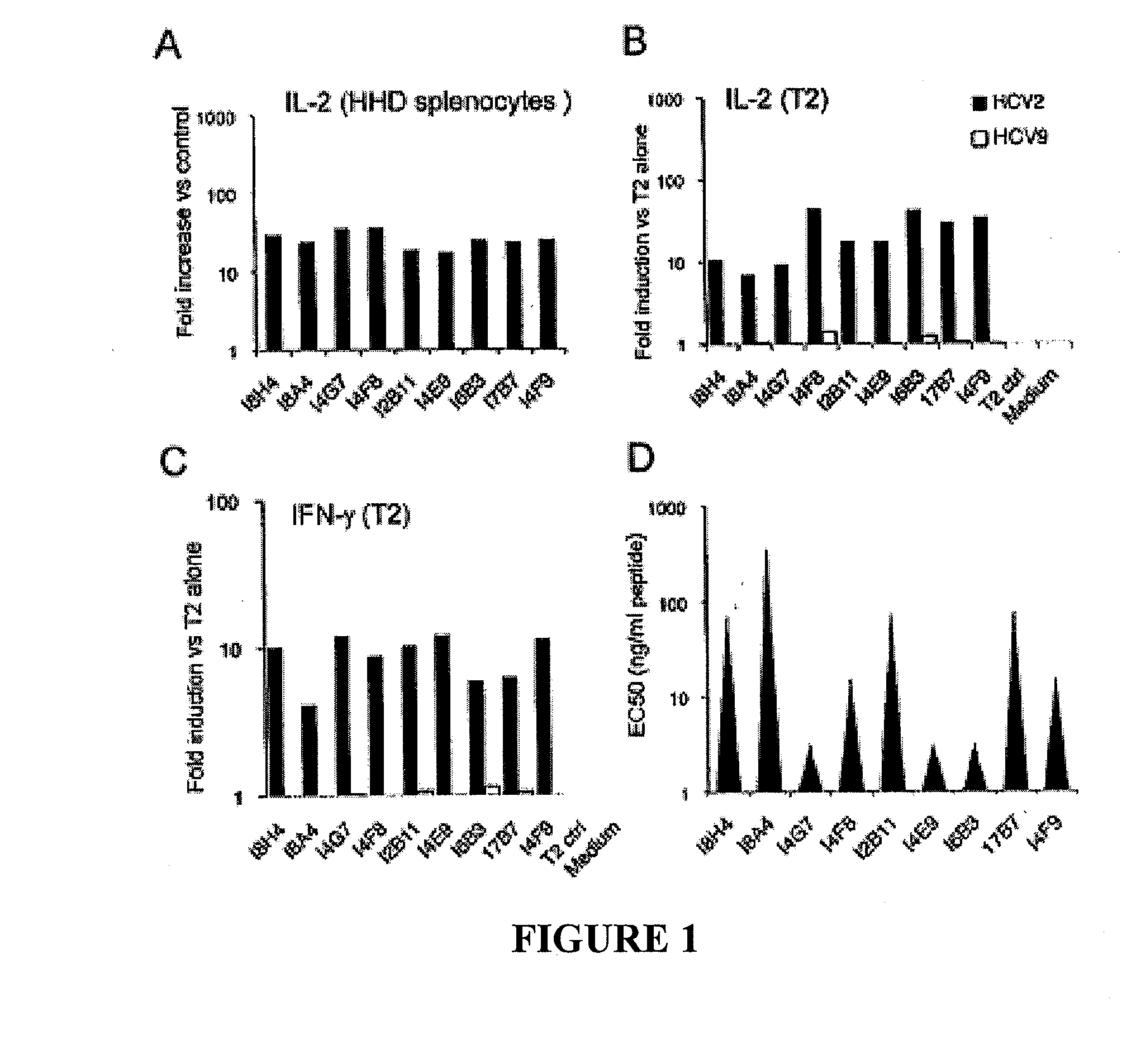 T cell receptors specific for immunodominant ctl epitopes of hcv