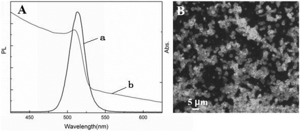 CsPb2Br5 nanosheet and preparation method thereof