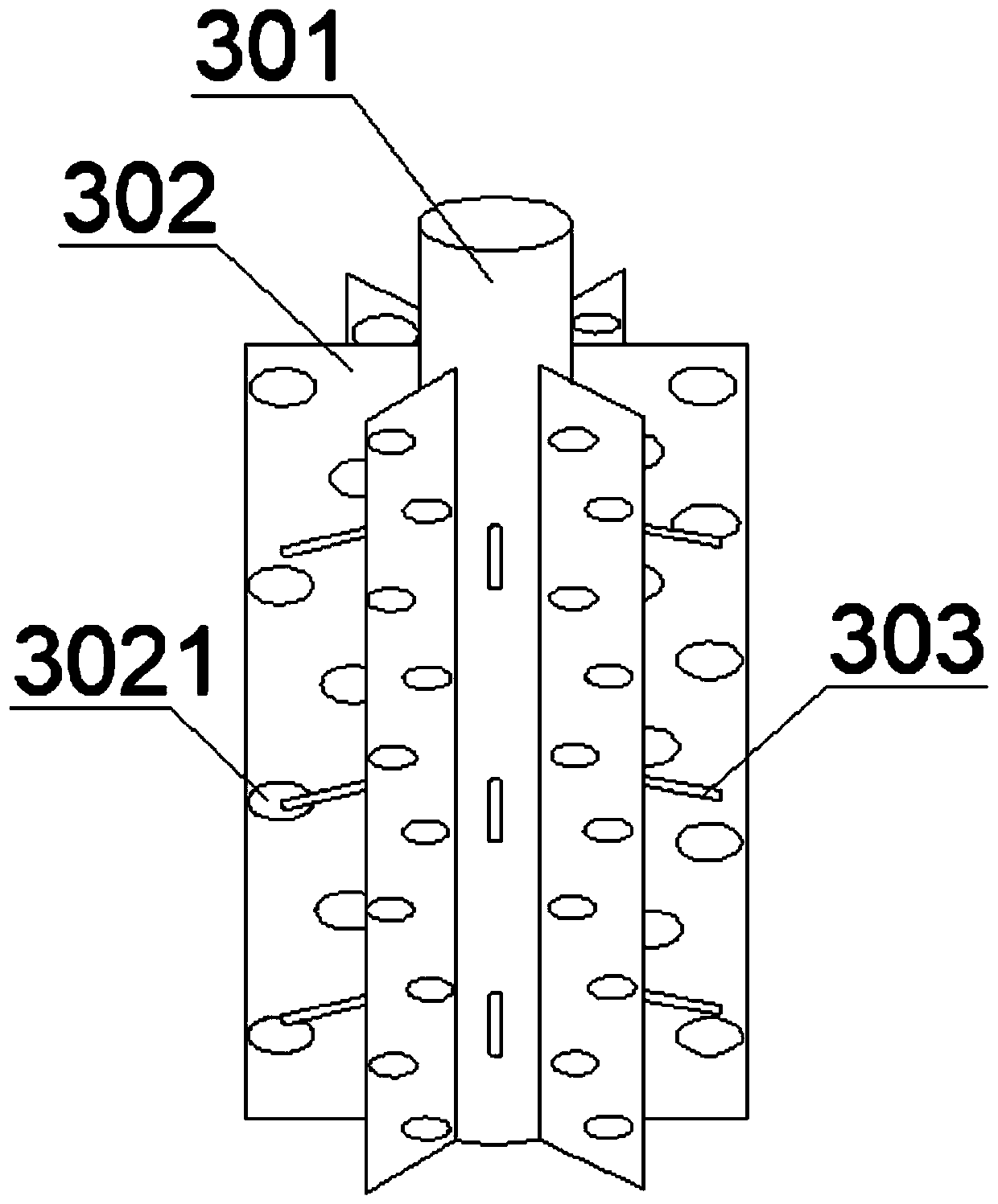 Continuous Vegetable Washing Machine