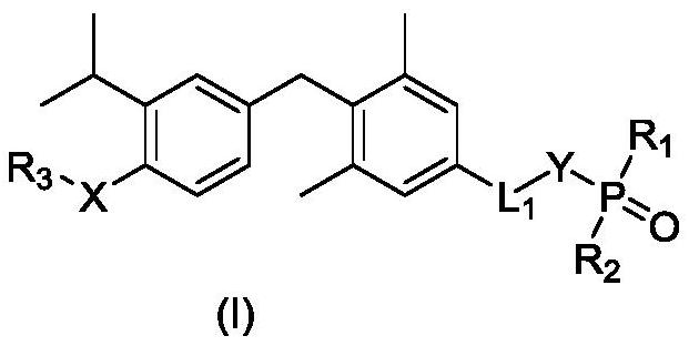 Phosphoric acid or phosphate ester derivative as well as preparation method and medical application thereof