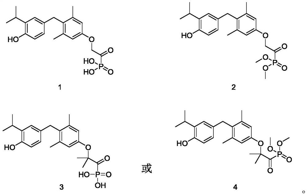 Phosphoric acid or phosphate ester derivative as well as preparation method and medical application thereof