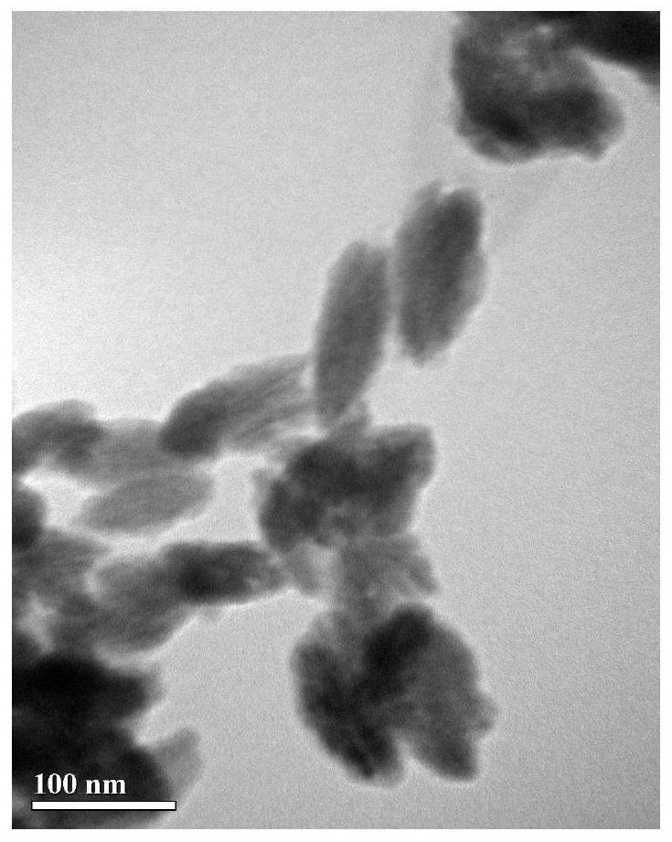 A drug-loaded mesoporous titania nanoparticle modified with hyaluronic acid and polydopamine