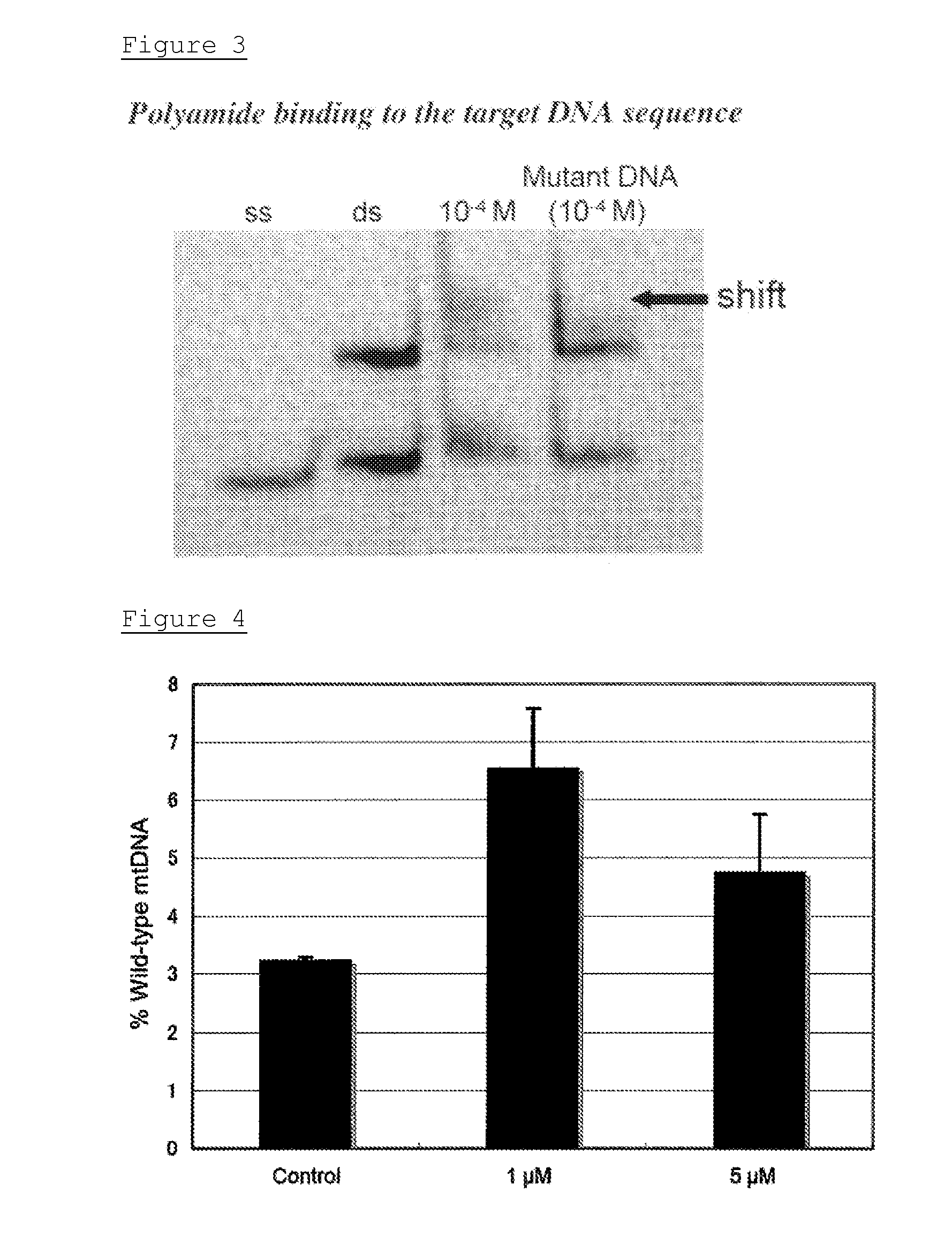 Polyamide compound and pharmaceutical composition for treating mitochondrial genetic disease