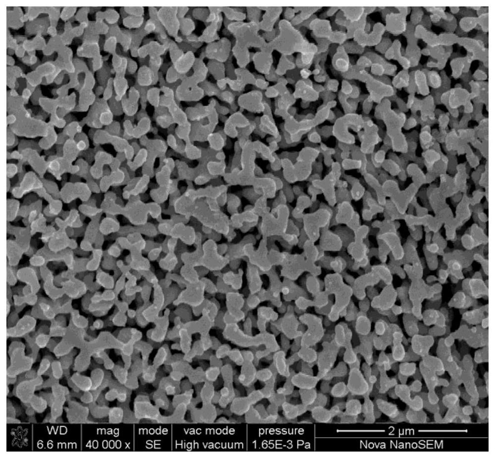 A kind of preparation method of nanoporous silver powder