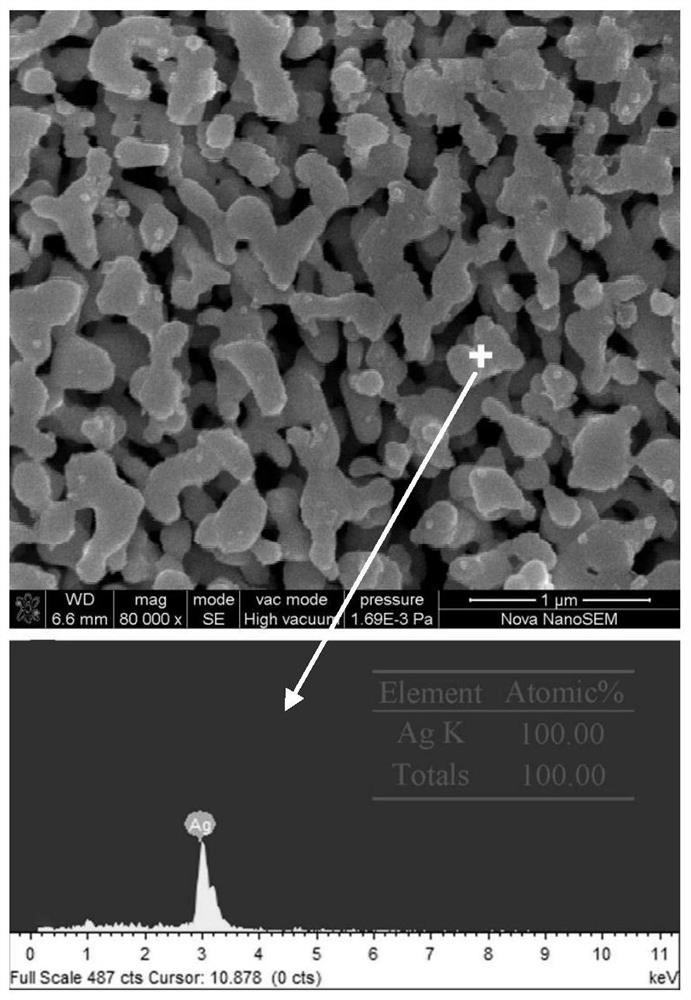 A kind of preparation method of nanoporous silver powder
