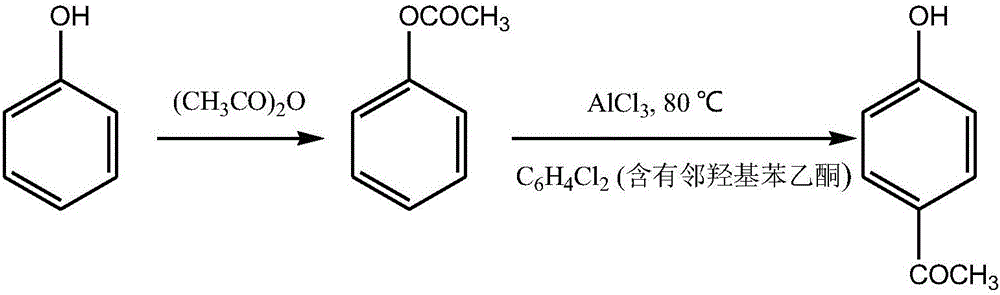 Synthetic method of p-hydroxyacetophenone
