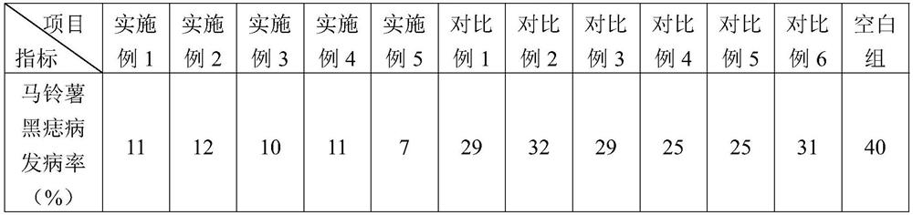 Composite microbial agent for potato black scurf