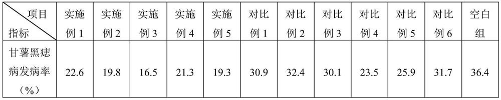 Composite microbial agent for potato black scurf