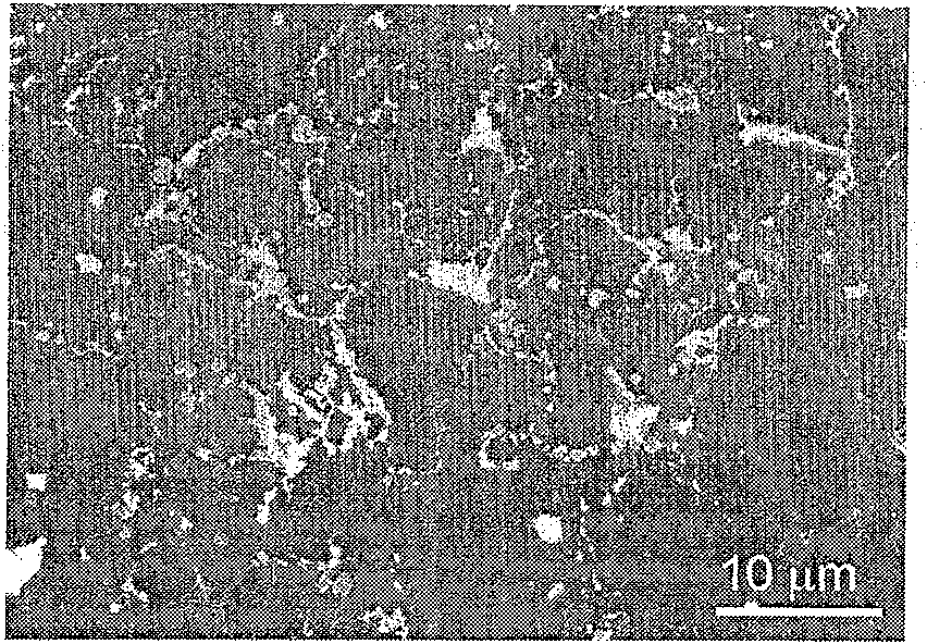 A reset compound Mg-Si-Sn base thermal electric material and its making method