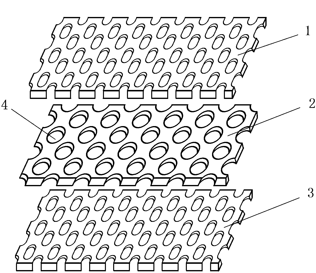 Oral cavity basement membrane and preparation method thereof