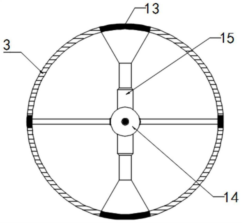 Automatic grading and grain sorting device for selenium-enriched rice processing