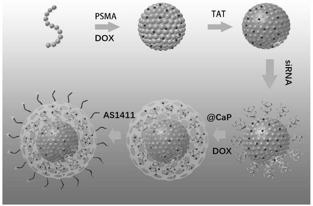 A kind of drug-loaded nanoparticle with targeted core-shell structure and preparation method thereof