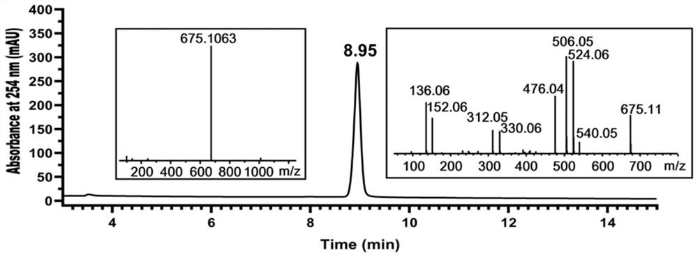 Method for preparing second messenger molecule 2 '3'-cGAMP through solid-phase multienzyme coupling