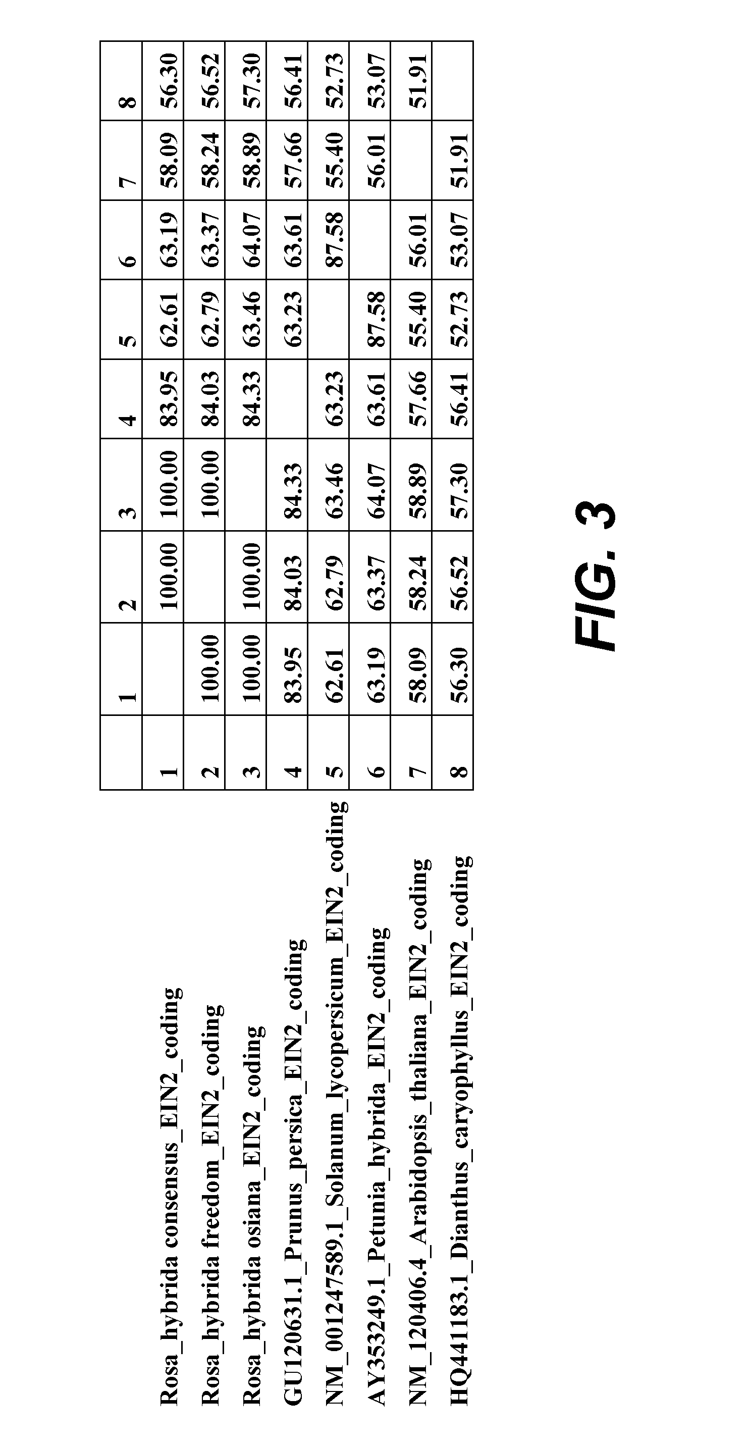 Compositions and Methods for Delaying Senescence in Cut Flower