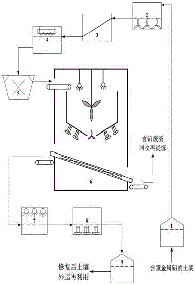 Soil remediation method for removing heavy metal lead