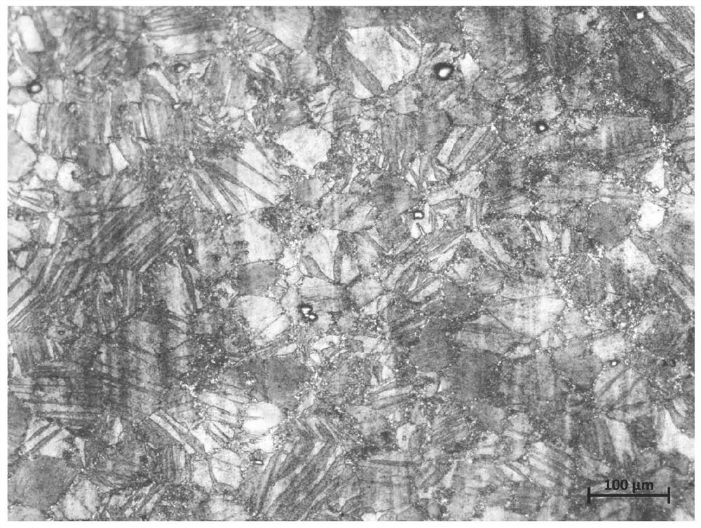 Processing method for improving high temperature creep properties of magnesium alloys by rolling and hammering