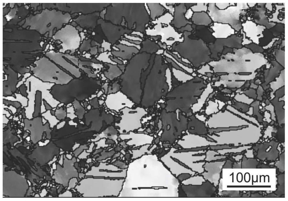 Processing method for improving high temperature creep properties of magnesium alloys by rolling and hammering