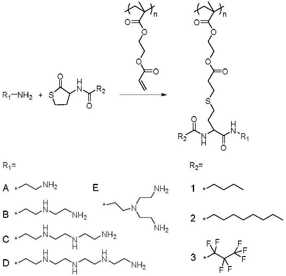 Chemically constructed multifunctional non-viral gene conveying carrier polymer based on thiolactone