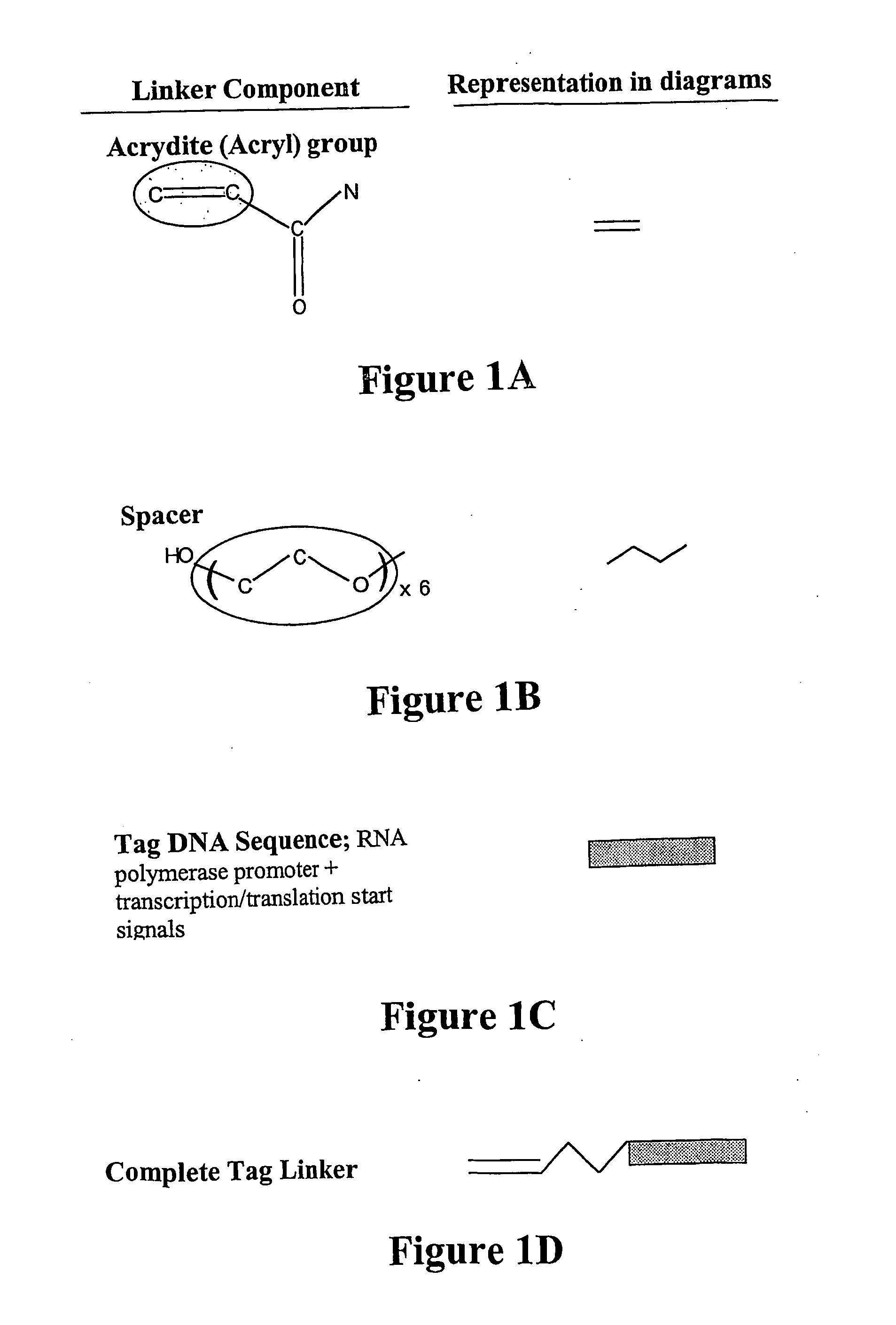 Nucleic acid anchoring system comprising covalent linkage of an oligonucleotide to a solid support