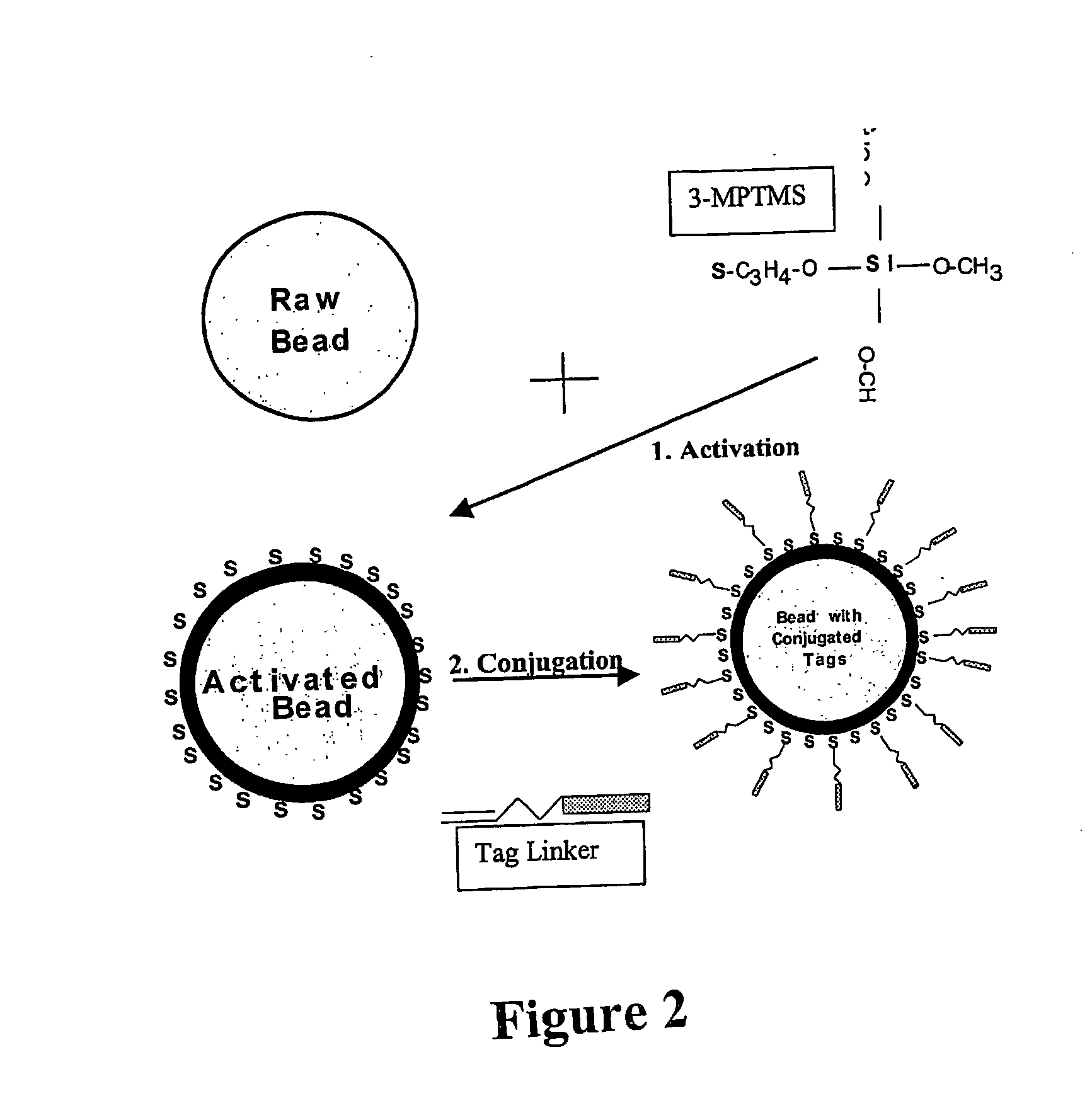 Nucleic acid anchoring system comprising covalent linkage of an oligonucleotide to a solid support