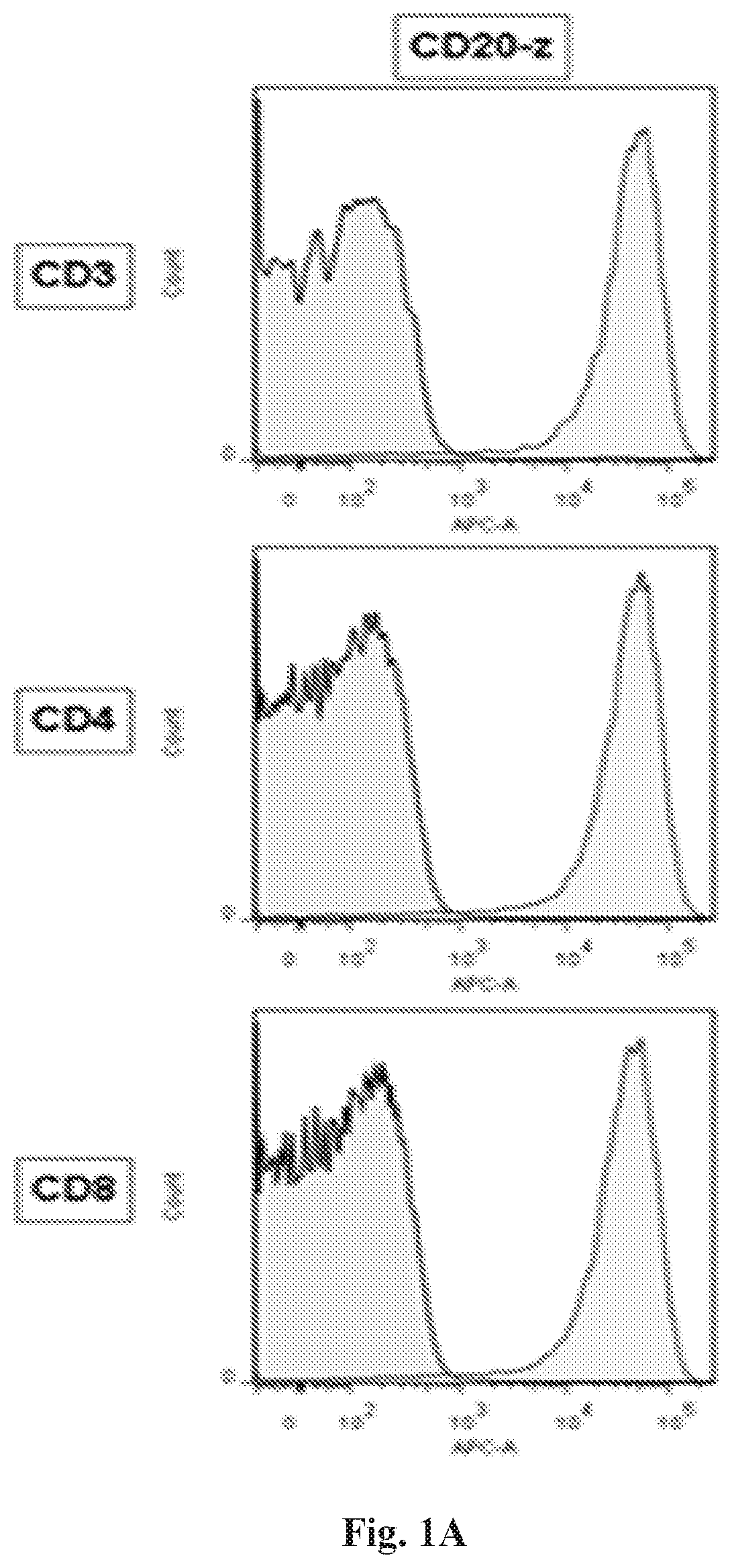 Treatment of a canine cd20 positive disease or condition using a canine cd20-specific chimeric antigen receptor