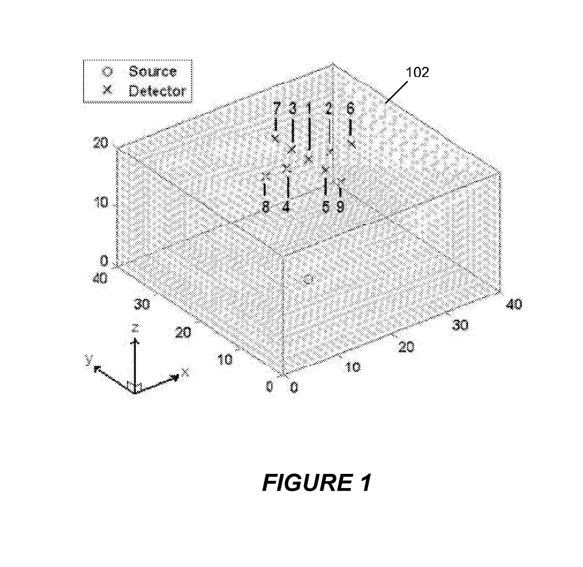 Fluorescence tomography using line-by-line forward model