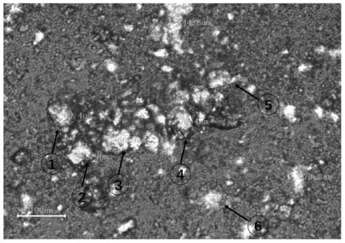 Azithromycin pharmaceutical composition, and preparation method and application of azithromycin pharmaceutical composition