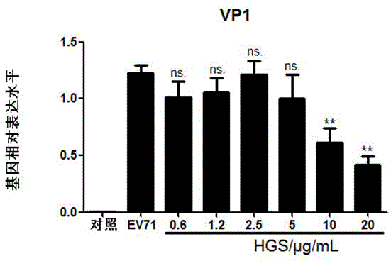 Application of hepatic cell growth regulatory factor tyrosine kinase substrate in prevention and/or treatment of EV71 infection