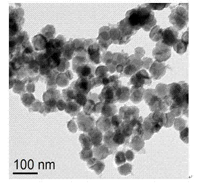 Fe3O4 nano-microsphere and preparation method thereof