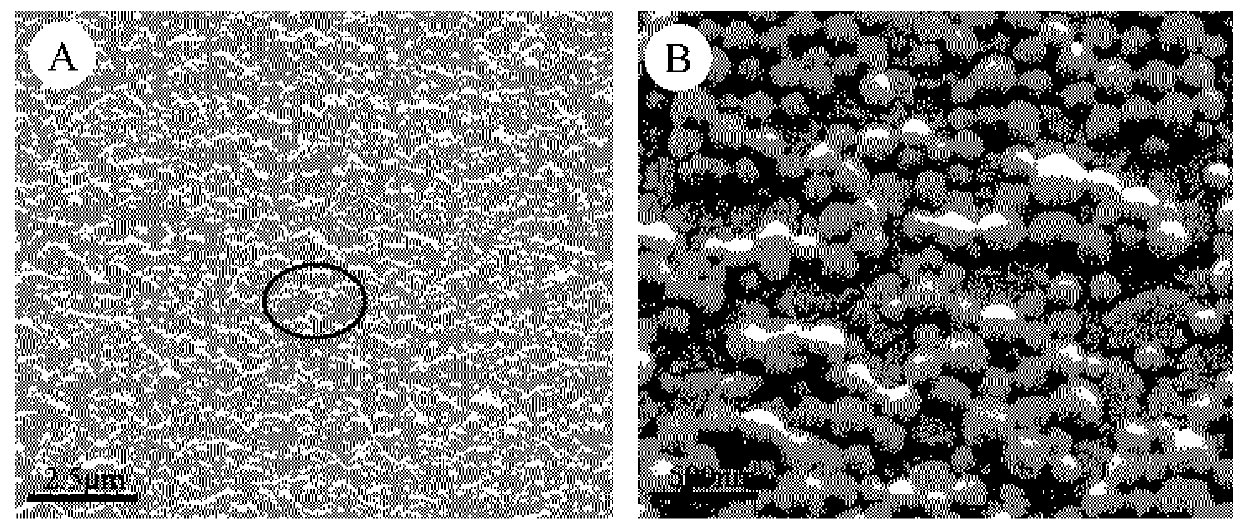 Preparation method of a natural polymer-based 3D porous composite scaffold with controllable pore size