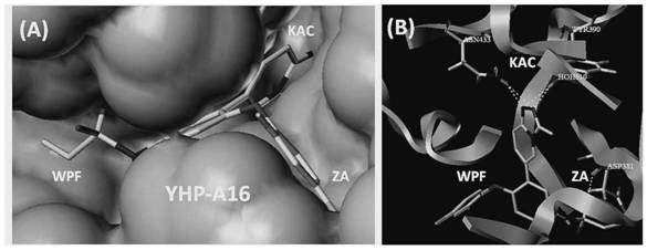 Triazole compound and its preparation method and application