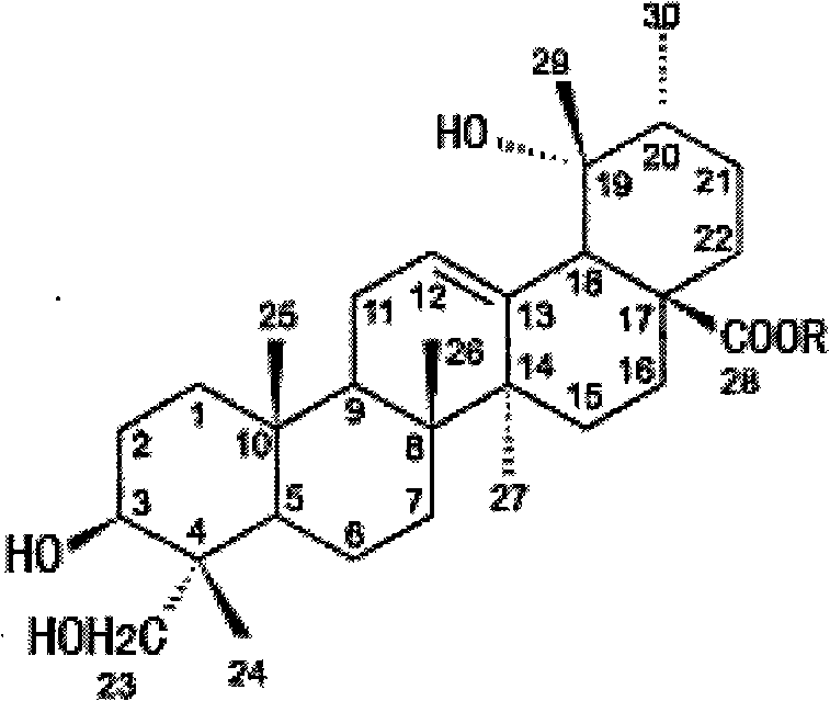 Use of pentacyclic triterpene saponin compound