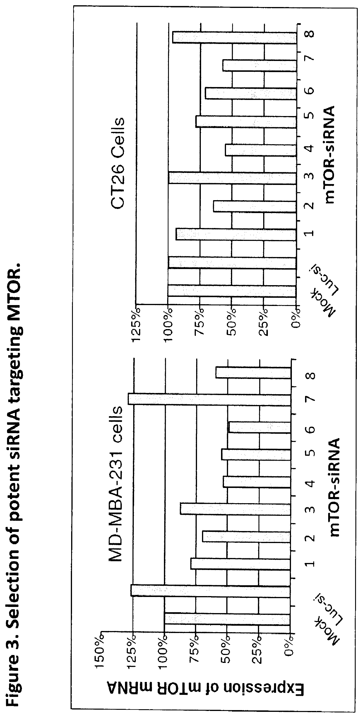 Gemcitabine Derivatives for Cancer Therapy