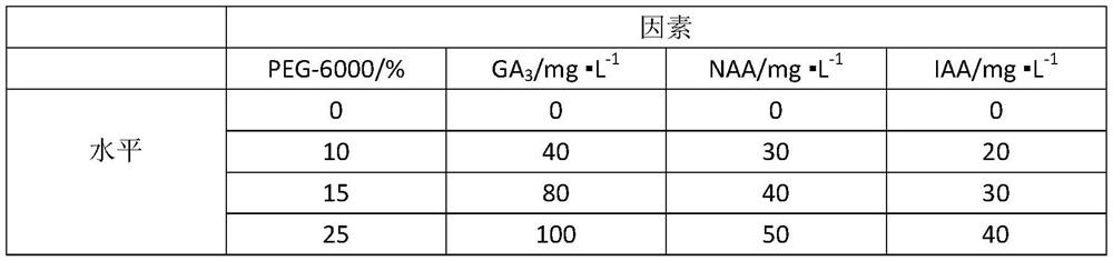 A method for improving the germination rate and germination rate stability of litsea cubeba seeds