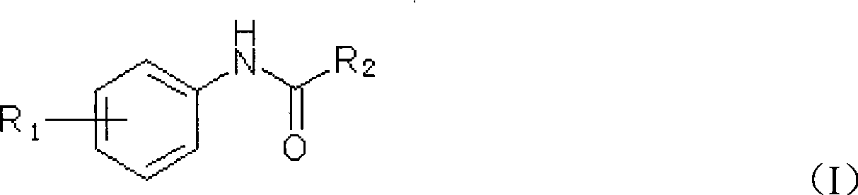 Diesel cetane number improver composition and diesel containing the same