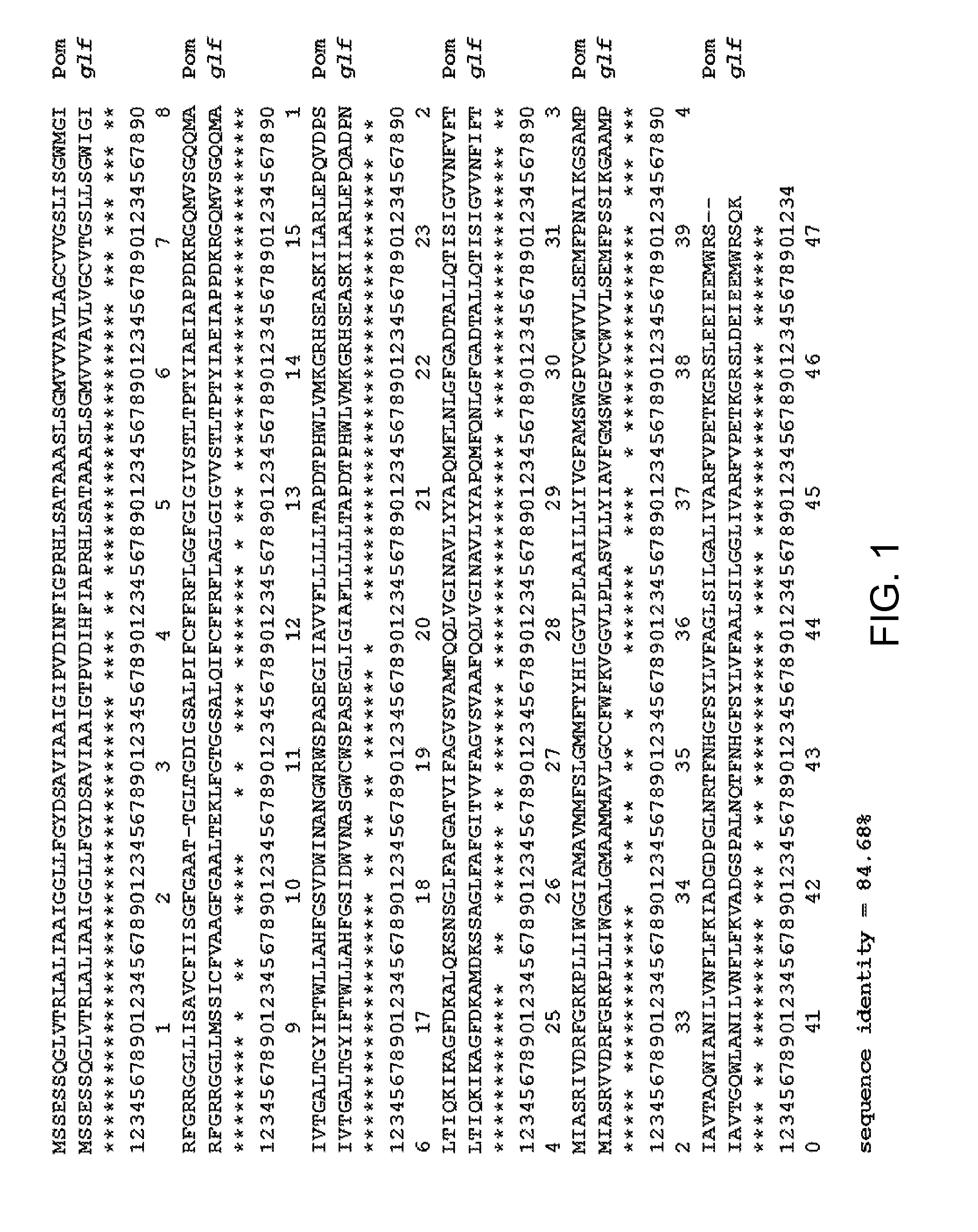 Glucose and xylose co-utilization in e. coli