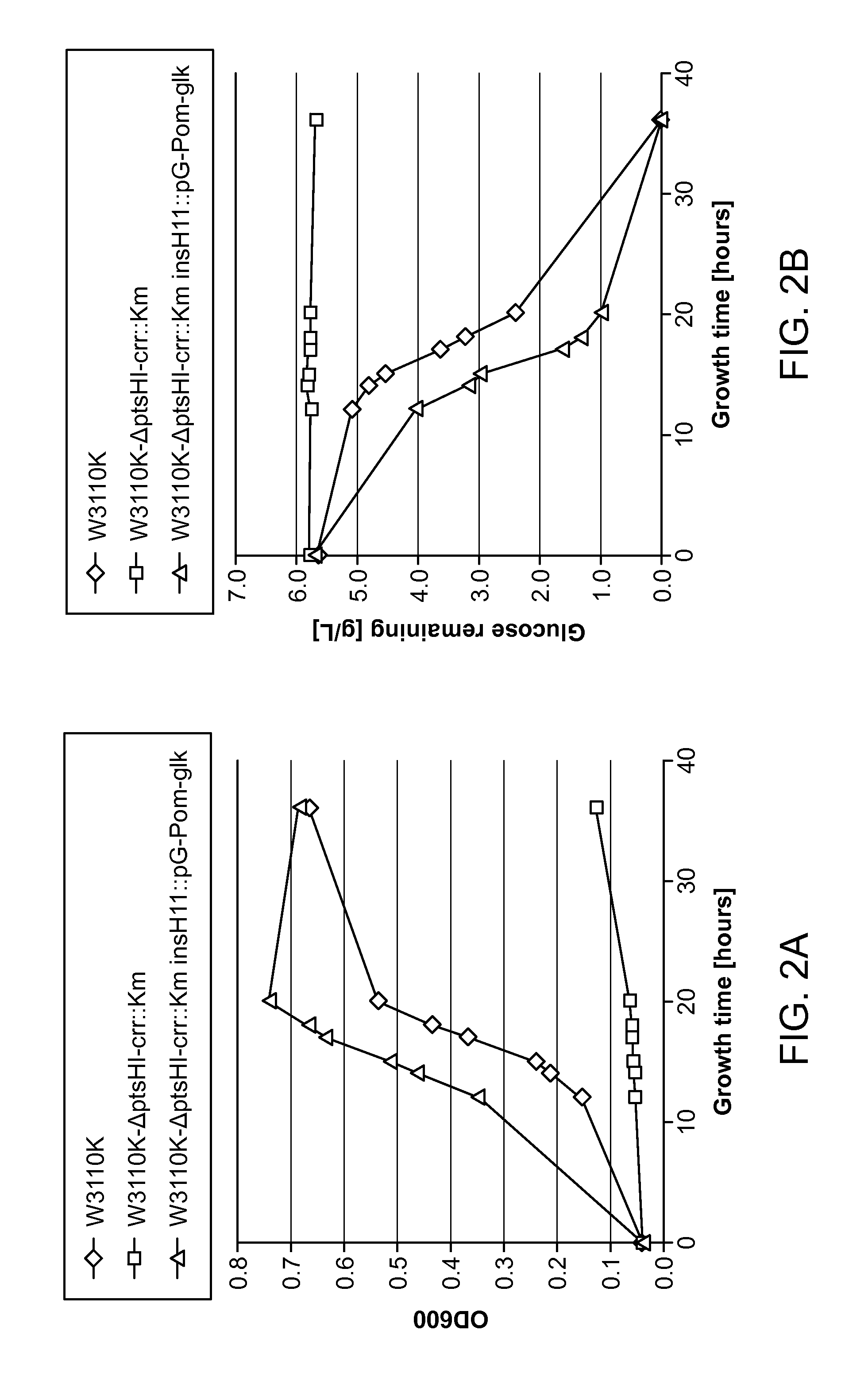 Glucose and xylose co-utilization in e. coli