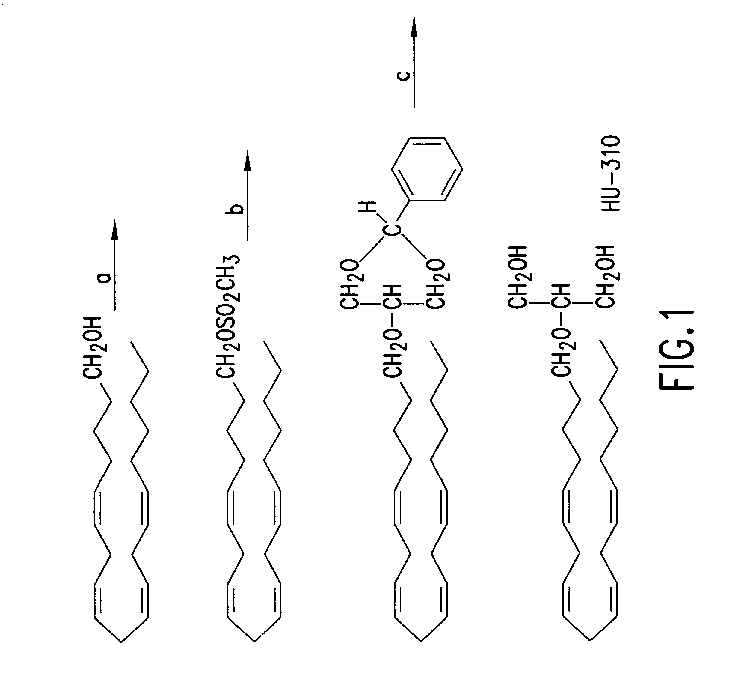 Synthetic endogenous cannabinoids analogues and uses thereof
