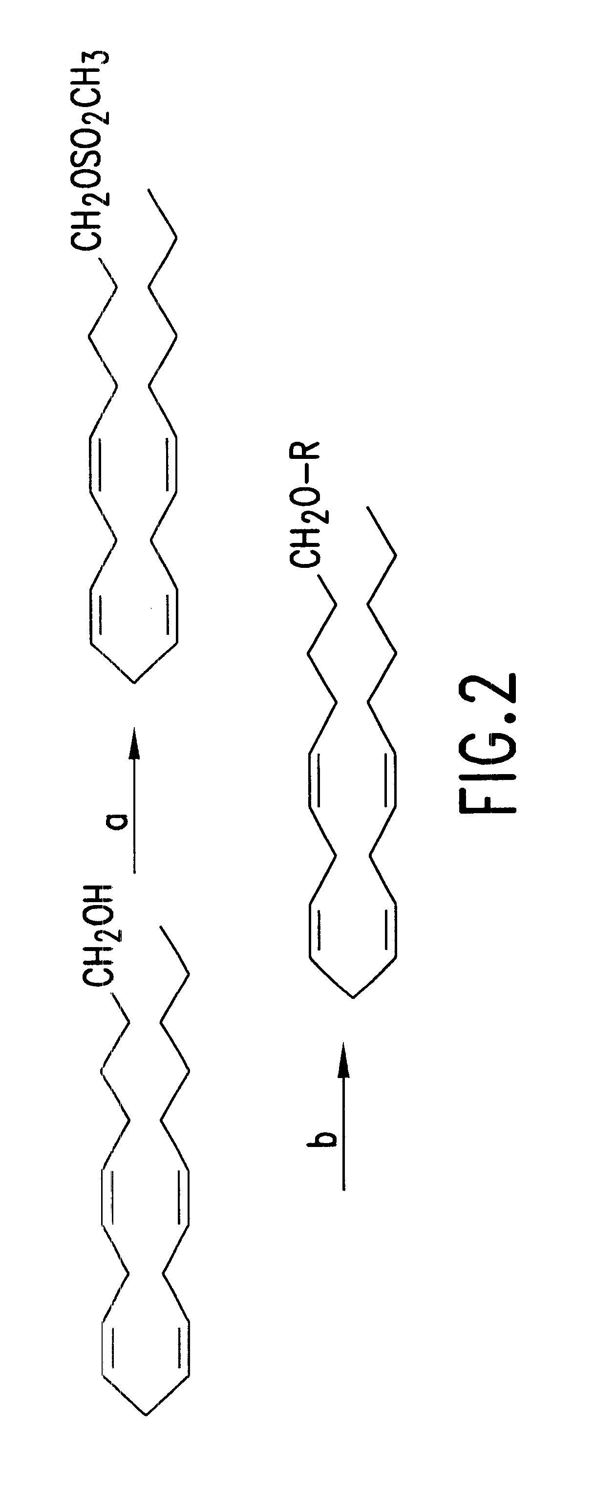 Synthetic endogenous cannabinoids analogues and uses thereof