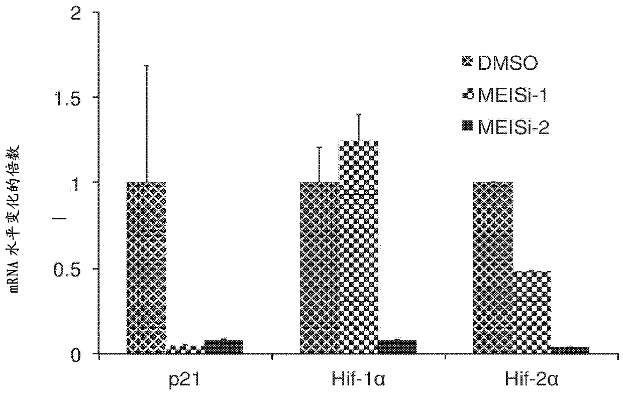 A combination inhibiting meis proteins