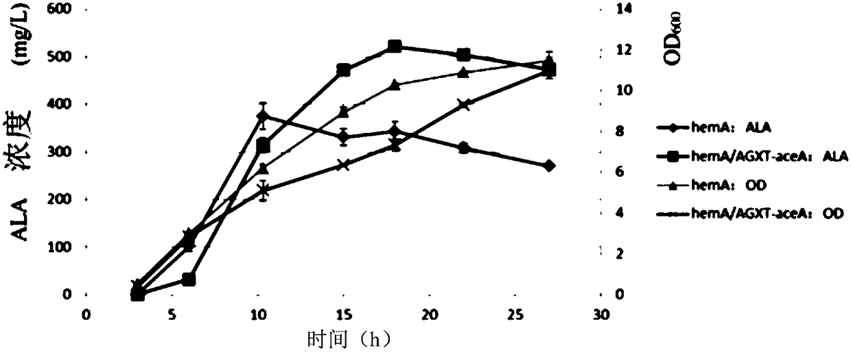 Glyoxylate aminotransferase mediated biosynthesis pathway of 5-aminolevulinic acid