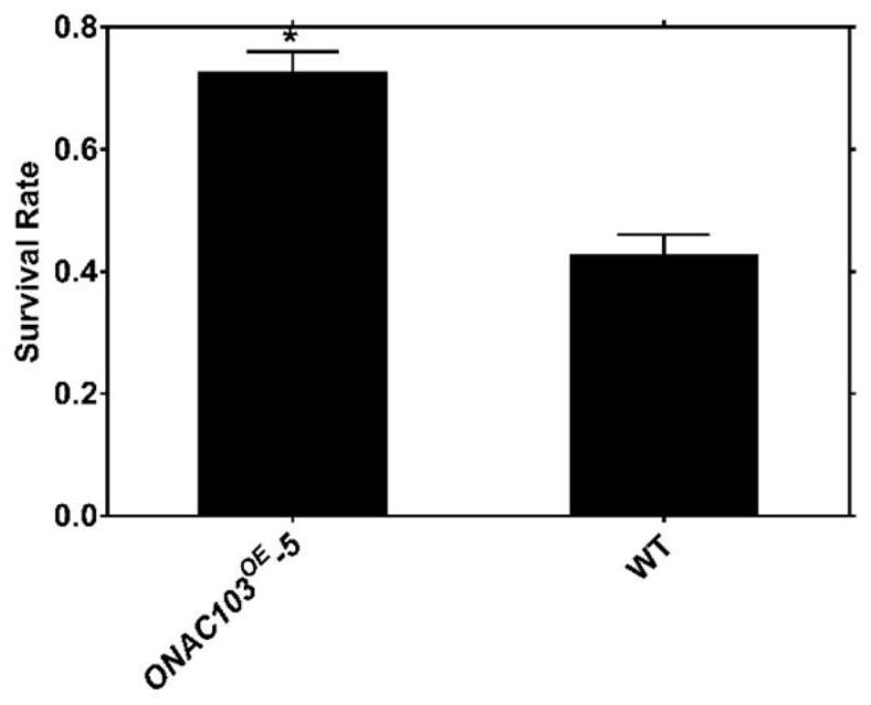 Rice salt-resistance-related gene onac103 and its encoded protein and its application