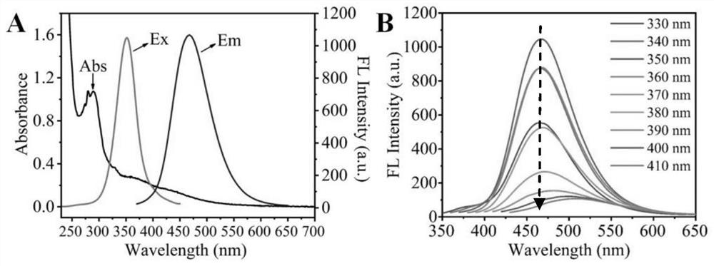 Silicon quantum dots for detecting chlorogenic acid and method for detecting chlorogenic acid